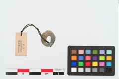 Foto von Bleiringperle (NHMW-PRAE-025062)